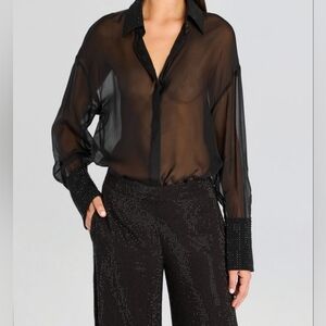 Elegant Black Sheer Blouse